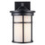 Trans Globe 40381 BK-FR Avalon 1 - Light Armed Outdoor Wall Lantern Light 