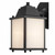Trans Globe 40455 BK-FR Patrician 1-Light, Ring Top ,Clear Glass Open Base Square Wall Lantern 