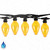 Bulbrite 810150 - 14' String Light Kit - 2700K - Wet Rated