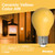 Bulbrite 776107 – A19 LED Bug Light Bulb – Yellow Filament - Wet Rated
