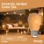 Bulbrite 776151 - 2.5W LED S14 Filament Bulb - Amber - Wet Rated
