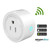 WiFi Smart Plug – Alexa & Tuya Control for Low Voltage Landscape Lighting Transformers 