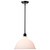 Satco 60-8026 - Russel 14in Pendant - Matte Black - Lamp Dependent 