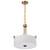 Satco 60-8204 - Liam 3-Light Pendant - Burnished Brass - 15.9in Diameter 