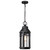 Satco 60-8104 - Wilton 1-Light Hanging Lantern - Matte Black - Damp Rated 