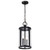Satco 60-8115 - Broadstone 2-Light Hanging Lantern - Matte Black - 40W 