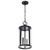 Satco 60-8115 - Broadstone 2-Light Hanging Lantern - Matte Black - 40W 