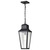 Satco 60-8135 - Lawrence 1-Light Hanging Lantern - Matte Black - Damp Rated 