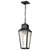 Satco 60-8135 - Lawrence 1-Light Hanging Lantern - Matte Black - Damp Rated 