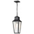 Satco 60-8135 - Lawrence 1-Light Hanging Lantern - Matte Black - Damp Rated 