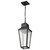 Satco 60-8135 - Lawrence 1-Light Hanging Lantern - Matte Black - Damp Rated 