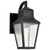 Satco 60-8131 - Lawrence 1-Light Wall Lantern - Matte Black - Wet Rated 