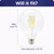 Sunlite 81139-SU - G40 LED Clear Filament Globe Bulb - 2200K Amber 