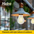 Halco 82539 - LED Filament A19 Bulb - 5000K - 3-Step Dimmable