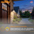 Sunlite 08562-SU - Slim Adjustable Wall Pack - 30K-50K - With Photocell 
