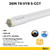 Halco 87301 - 3 ft LED T8 Retrofit Lamp - CCT Selectable - Type A/B 