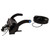 Topaz SP-750PS-50K-HV - Sports Light Power Select - Daylight 5000K - Wattage Selectable 