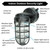 Topaz L1707SVBLK - Hammered Black Jelly Jar Vaportight Wall Sconce - E26 Lamp-Ready 