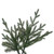 Vickerman A110255 - 5.5 ft Itasca Fraser Fir Unlit Christmas Tree