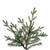 Vickerman A110286LEDCC - 9.5 ft Itasca Fraser Fir Prelit Color Changing LED Christmas Tree