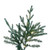 Vickerman A110296LED - 14 ft Itasca Fraser Fir Prelit Warm White LED Christmas Tree