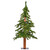 Vickerman A805131LEDCC - 3 ft Natural Alpine Prelit Color Changing LED Christmas Tree