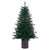 Vickerman B245045 - 4.5 ft Potted Spruce Unlit Christmas Tree