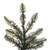 Vickerman G160263LEDCC - 6 ft Alberta Spruce Prelit Color Changing LED Christmas Tree