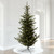 Vickerman G160283LEDCC - 9 ft Alberta Spruce Prelit Color Changing LED Christmas Tree