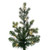 Vickerman G170398LEDCC - 14 ft Eagle Frasier Fir Prelit Color Changing LED Christmas Tree