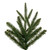 Vickerman G236265 - 6.5 ft Tacoma Fraser Fir Unlit Christmas Tree