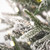 Vickerman G236666LED - 6.5 ft Frosted Tacoma Fraser Prelit Warm White LED Christmas Tree