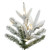 Vickerman G236681LED - 9 ft Frosted Tacoma Fraser Prelit Warm White LED Christmas Tree