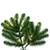 Vickerman G237491LED - 12 ft Deluxe Sequoia Slim Pine Prelit Warm White LED Christmas Tree
