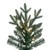 Vickerman G250693LEDCC - 12 ft Colorado Blue Fir Prelit Color Changing LED Christmas Tree