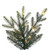Vickerman G252268LEDCC - 6.5 ft Orchard Fraser Fir Prelit Color Changing LED Christmas Tree