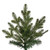 Vickerman K230455 - 5.5 ft Georgian Fraser Fir Unlit Christmas Tree