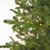 Vickerman K230476LED - 7.5 ft Georgian Fraser Fir Prelit Warm White LED Christmas Tree