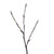 Vickerman X250661LED - 6 ft X25066 Unlit Christmas Tree