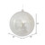 Vickerman M166707D - 10 inch Silver Shiny Mercury Ball Christmas Ornament 
