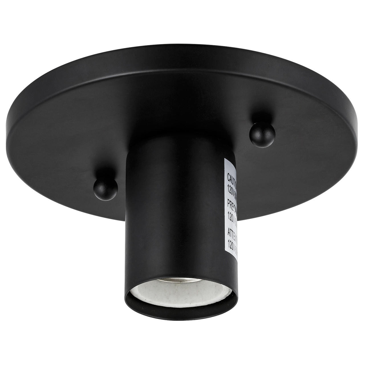 luthiel！！ Z-Lite 2307-12MGLD Lilly - 1 Light Pendant in Industrial