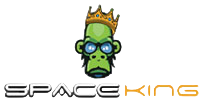 Spaceking