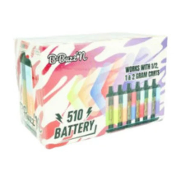 B-BUZZ'N - SECRET STASH BOX - BATTERY - SINGLE - RANDOM