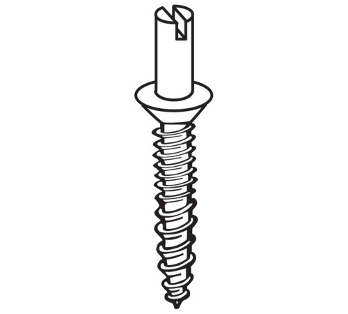 Don Jo CHP-100-BP Hinge Pin for Window Bolt No 12 Head Bright Brass Plated Clear Coated Finish CHP-100-BP