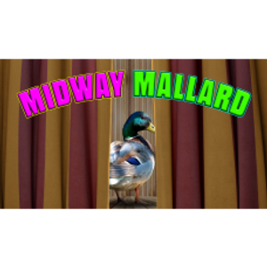 Midway Mallard Midway Mallard