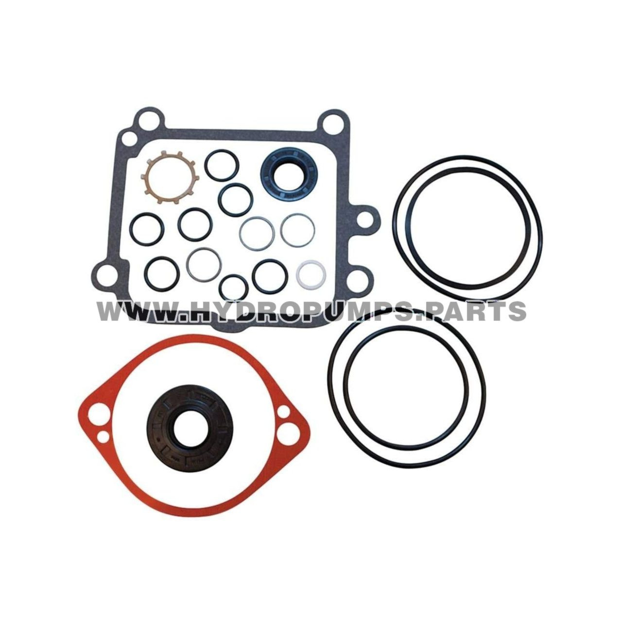 Hydro Gear 2513018 Kit BDP Overhaul Seal Original OEM