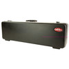 RPLSKB2SKB-3209B_2