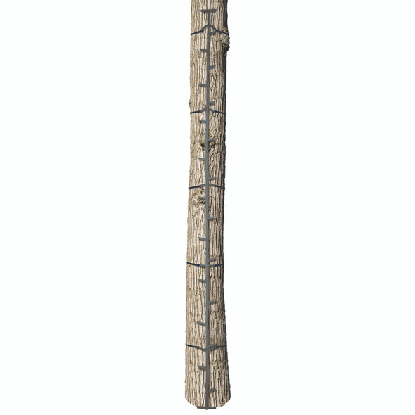Big Game The Quick-stick Climbing Stick 20 Ft.