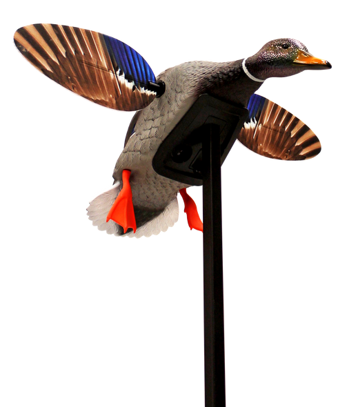 Mojo Elite Series, Mojo Hw2470   Mini Mallard Drake