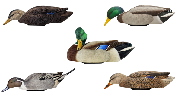 Avian X (gsm) Power Shaker, Avian Avx-psh-mdpr Power Shaker/mallrd Drake Preen Avian X (gsm) Power Shaker, Avian Avx-psh-mdpr Power Shaker/mallrd Drake Preen